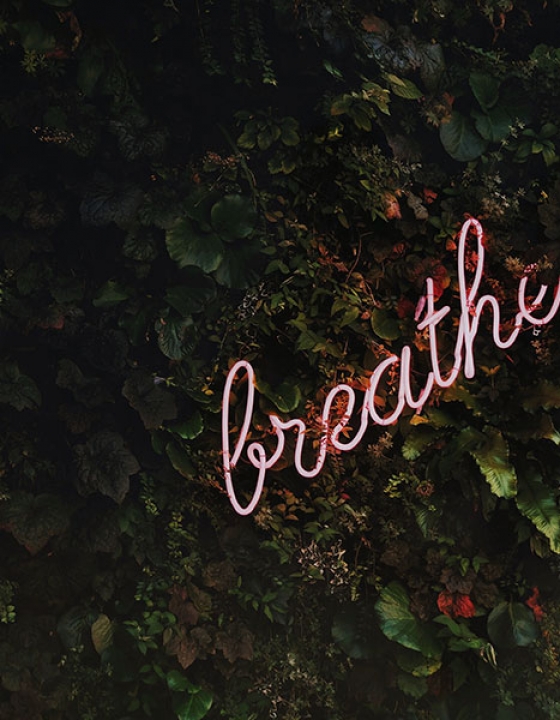 How to Cope with Life Transition Stress
