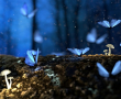 Your Legacy – Knowing Your Place in the World