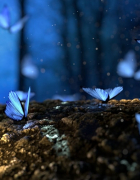 Your Legacy – Knowing Your Place in the World